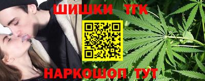 стаф Дубна