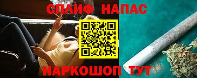стаф Дубна