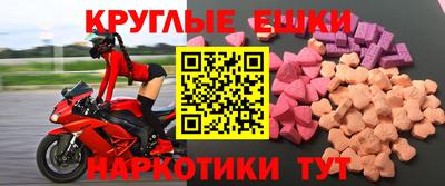 стаф Дубна