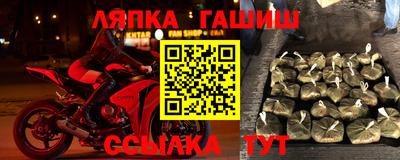 стаф Дубна
