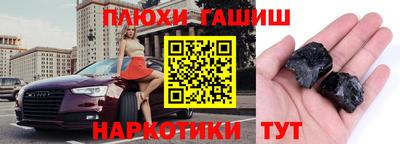 стаф Дубна