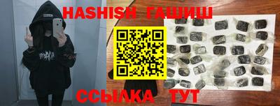 стаф Дубна