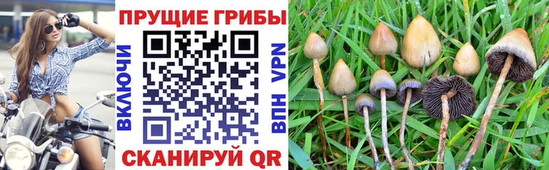 Псилоцибиновые грибы мицелий  ОМГ ОМГ зеркало  Мирный 