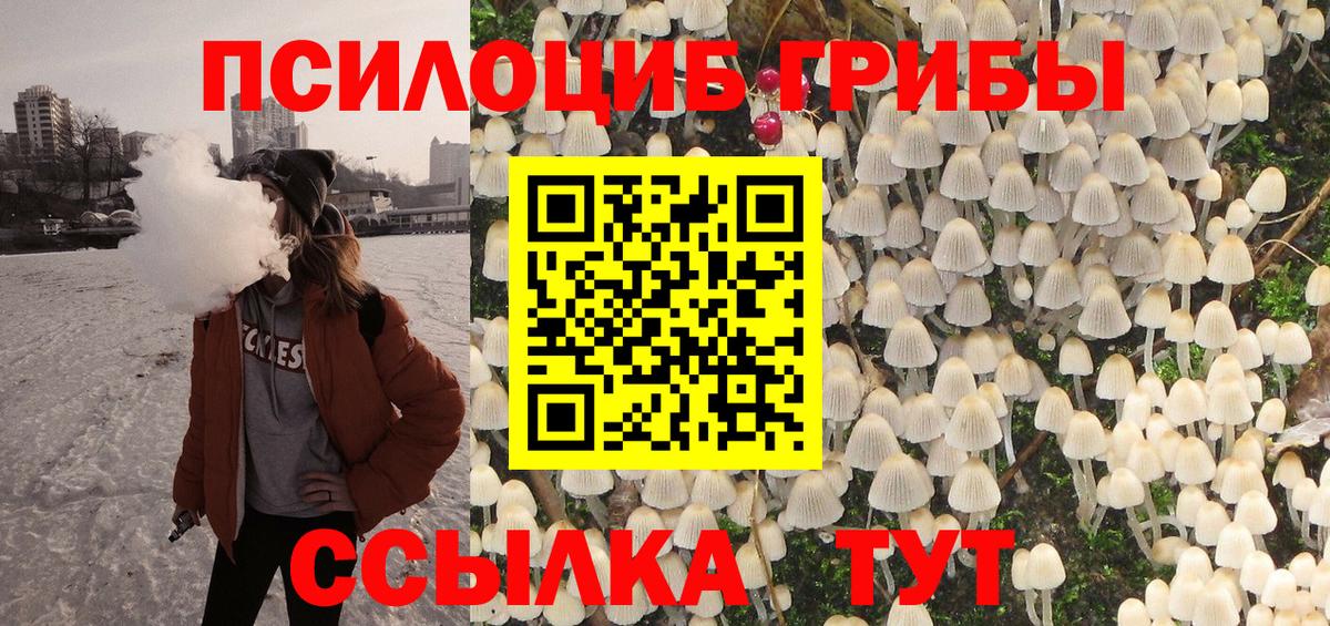 Псилоцибиновые грибы мухоморы  Вход с VPN  где продают наркотики  Псилоцибиновые грибы мицелий  Мирный 