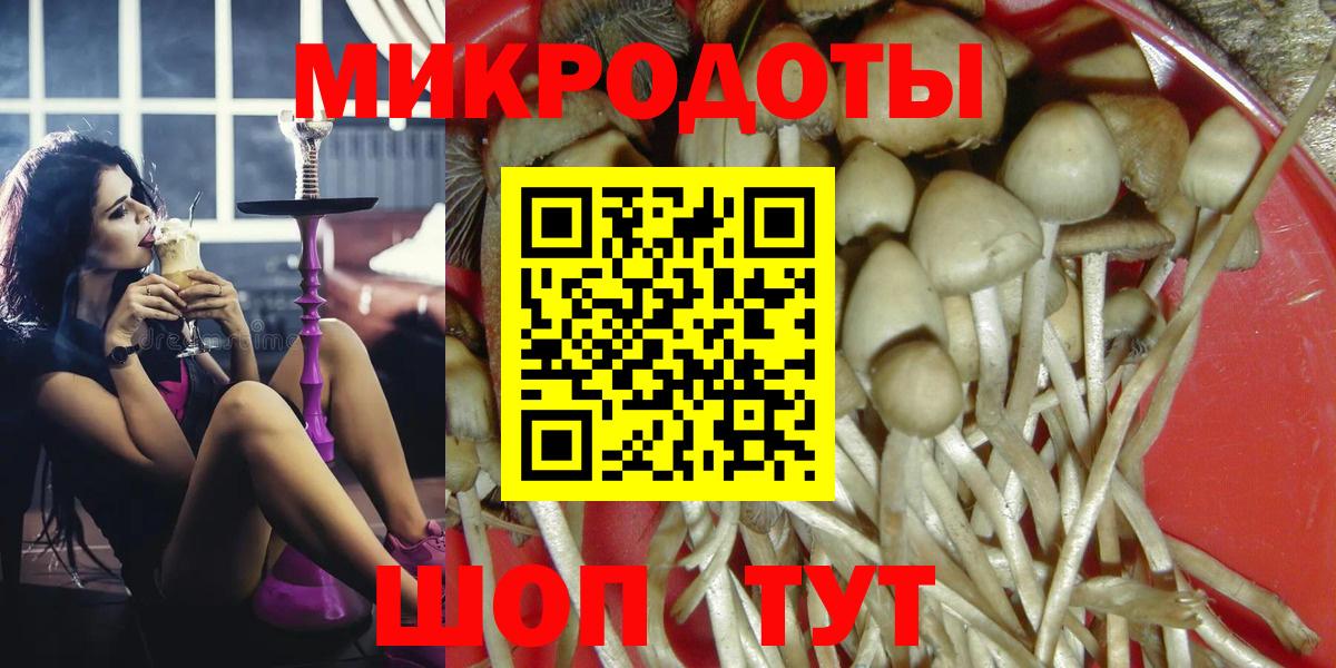 Галлюциногенные грибы Cubensis Мирный