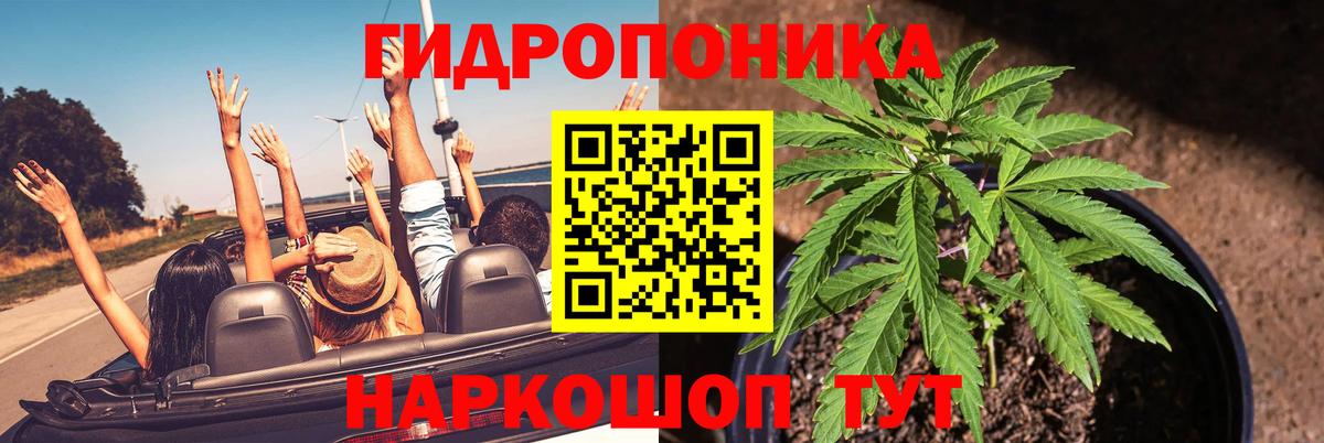 Каннабис семена Мирный